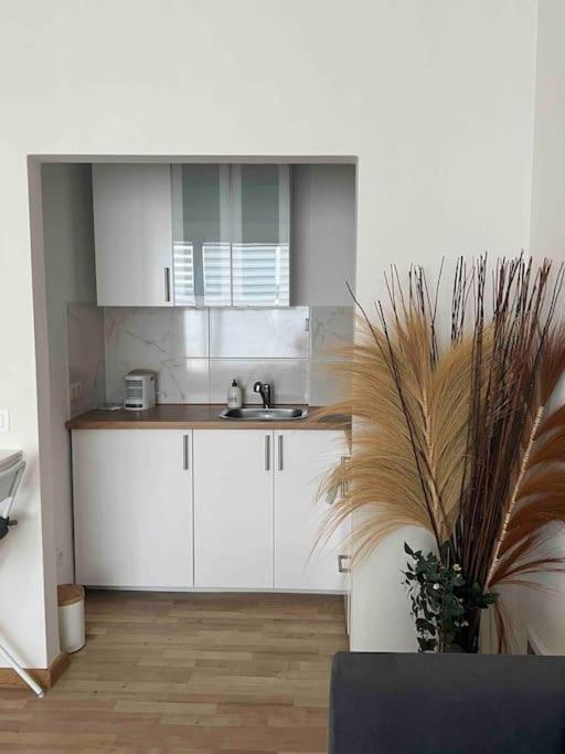 Appartement Belgielei 94 à Anvers Extérieur photo