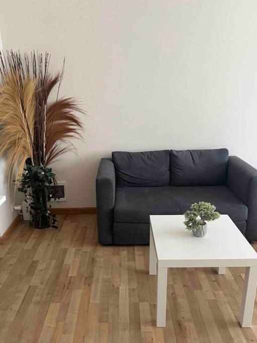 Appartement Belgielei 94 à Anvers Extérieur photo